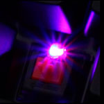 ducky-shine4-web-04