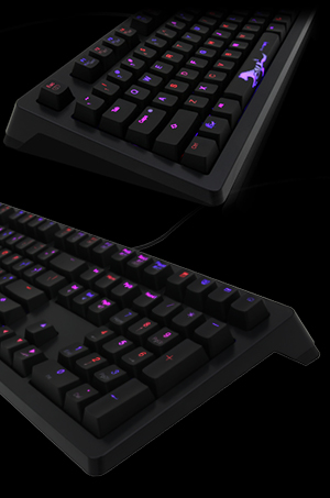 ducky-shine4-web-10