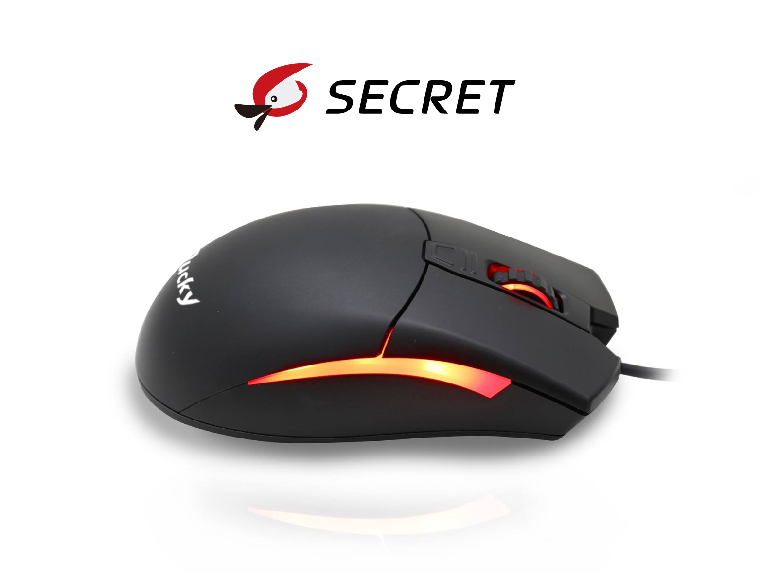 secret_web-01