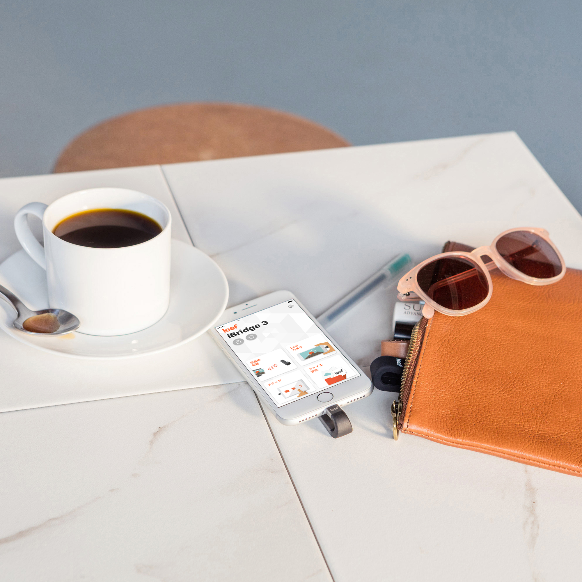 Leef_iBridge3_10