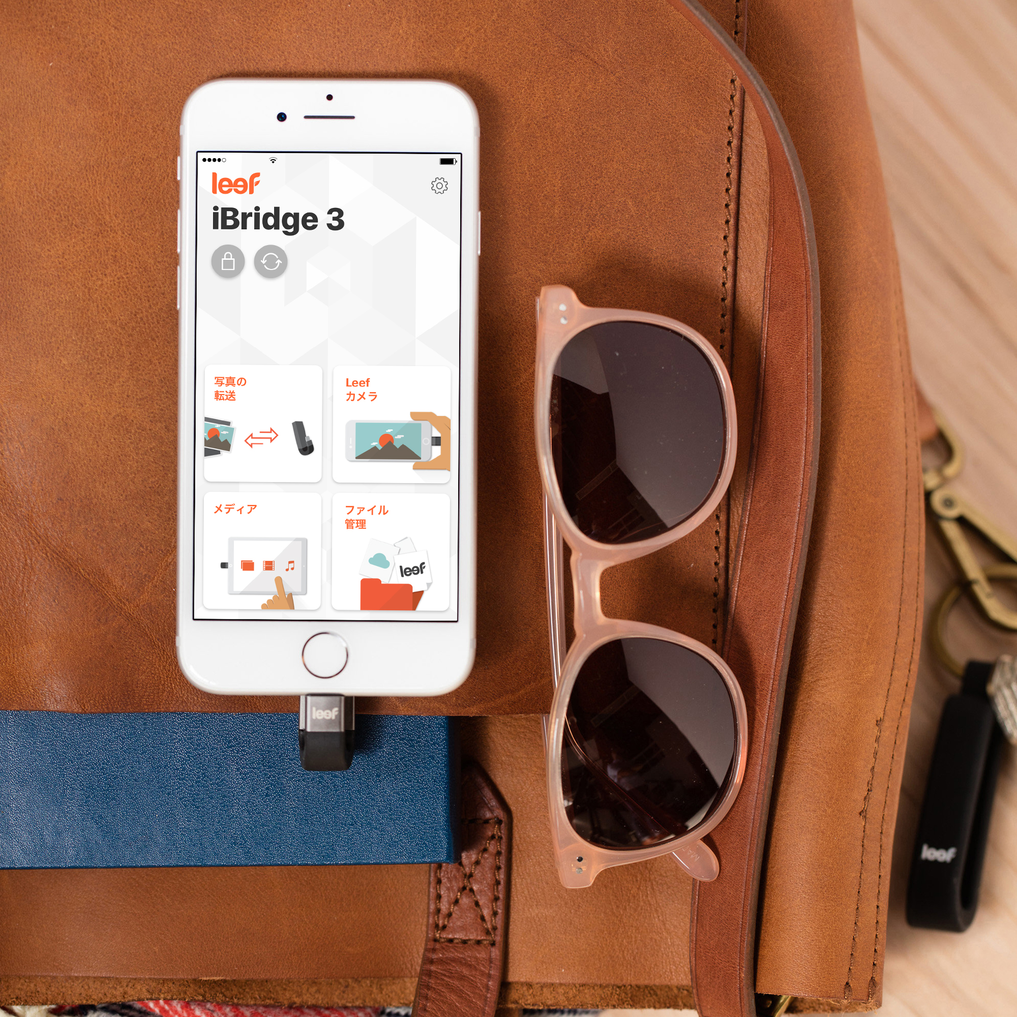 Leef_iBridge3_5