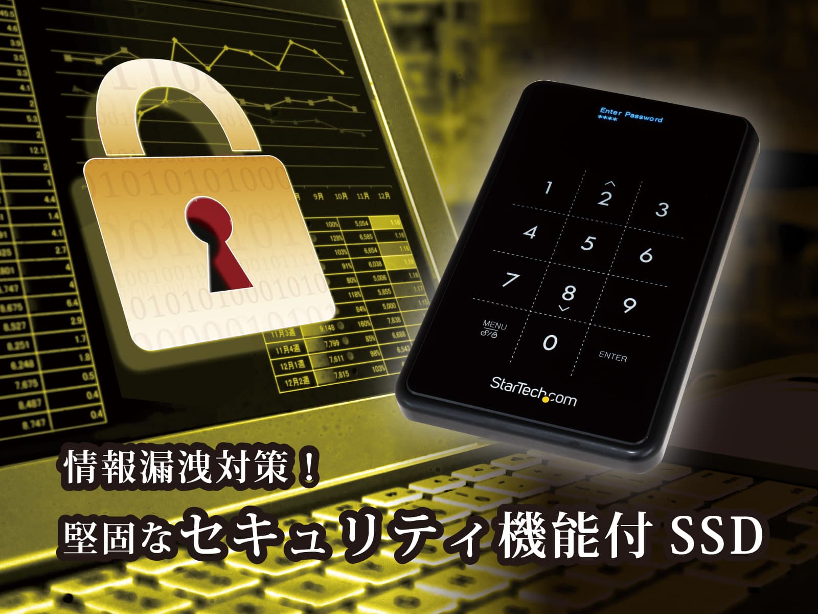 security-ssd-web-01