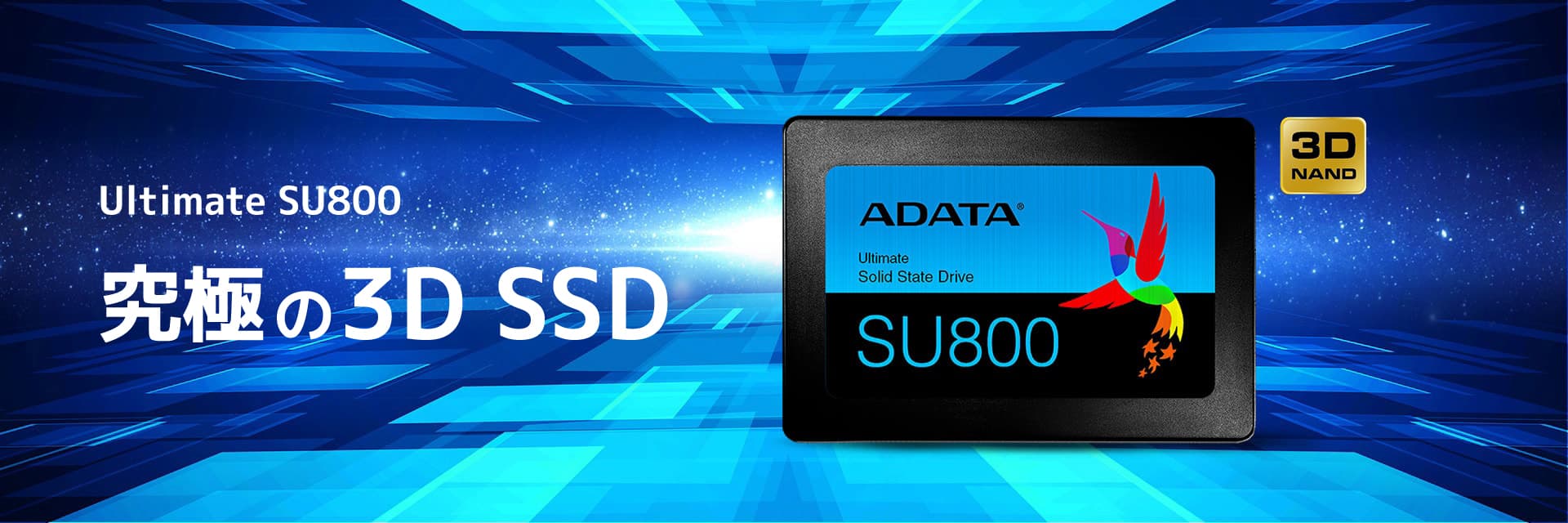adata-SU800