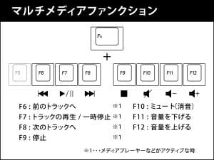 maestroFL-web-50