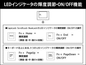 maestroFL-web-51
