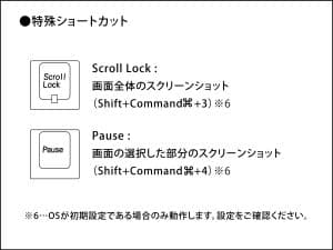maestroFL-web-55