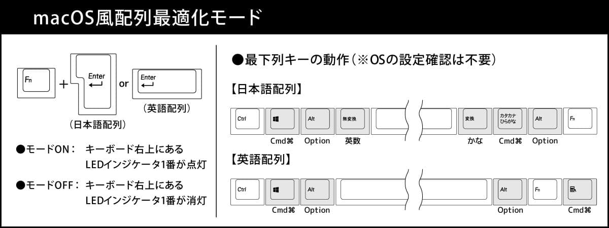 MaestroFL-web-53
