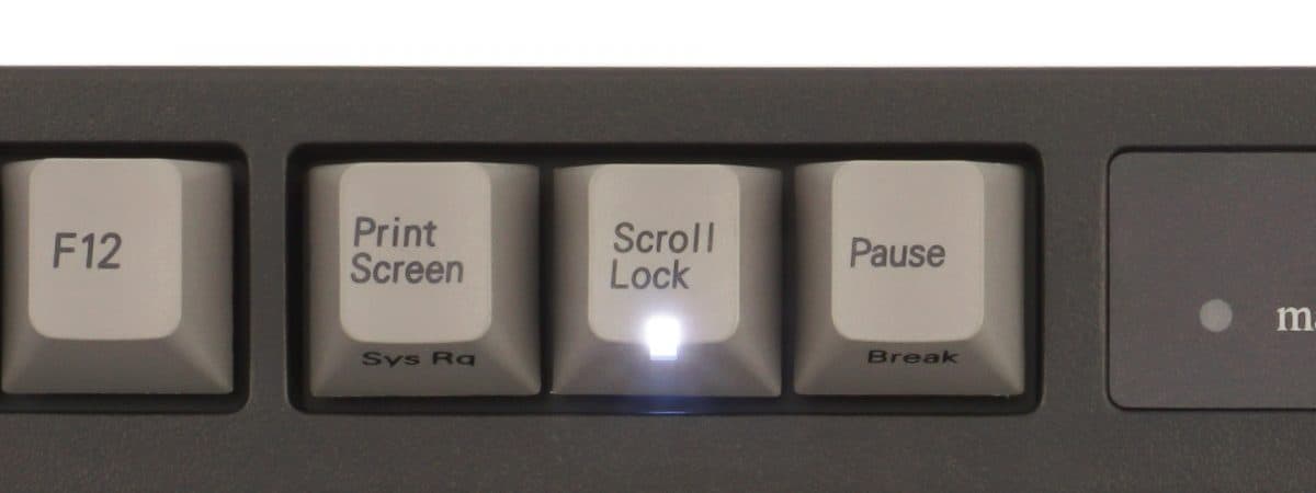 MaestroFL-web-59