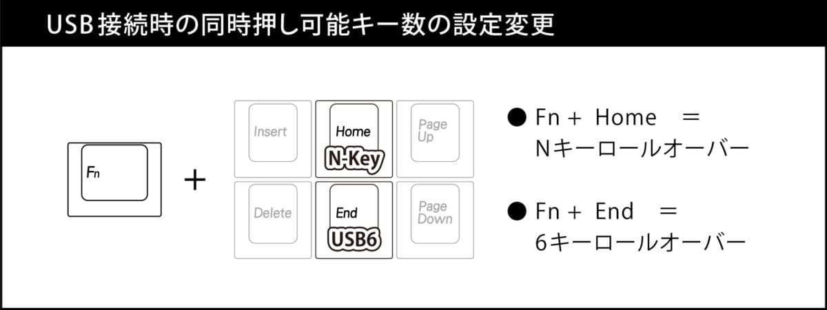 QuattroTKL-web-55