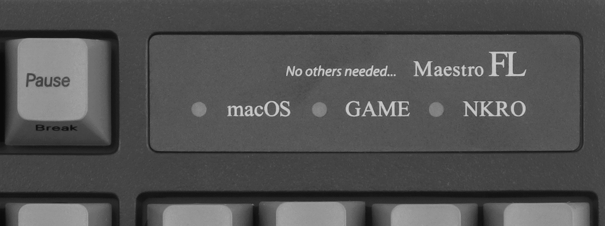 maestroFL-web-58